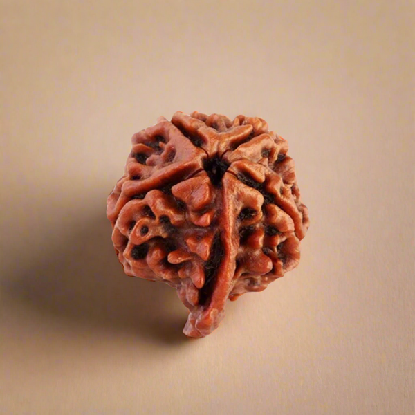 Ganesh Rudraksha Bead - Obstacle Remover